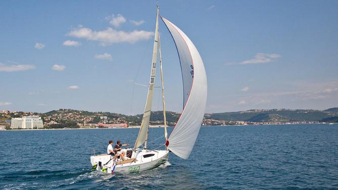 Elan - 210 PERFORMANCE