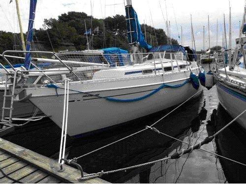Malö Yachts - 40