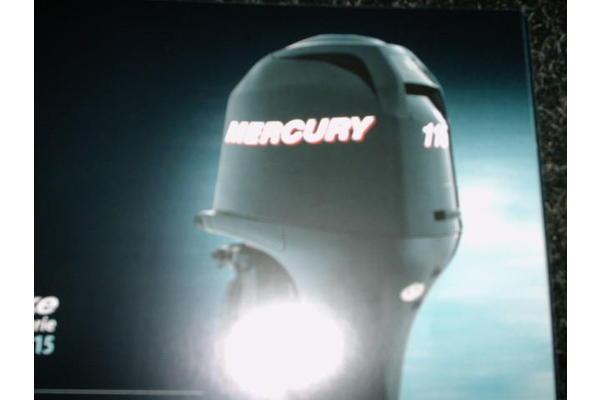 Mercury - F 100 Elpt Efi