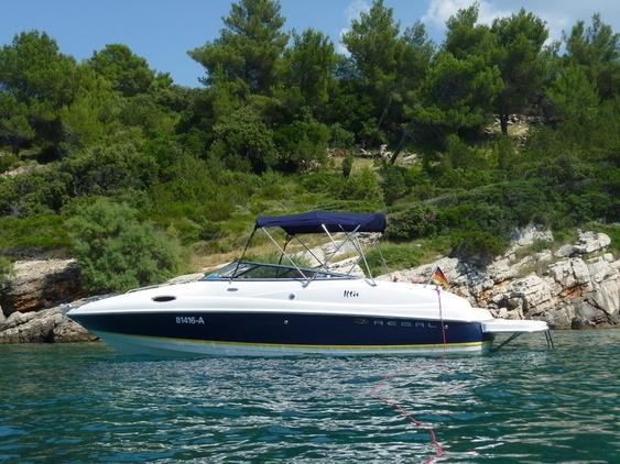 Regal - 2450 Cuddy mit Trailer